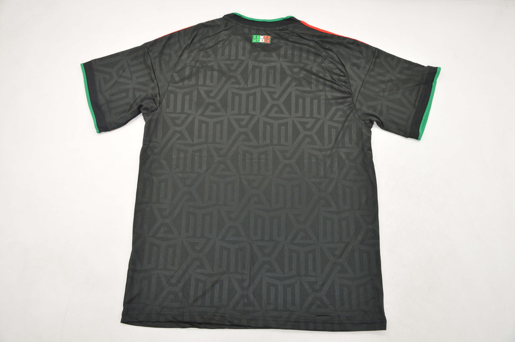 Mexico VIsitante 2 2026
