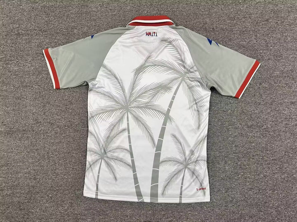 Haiti Visitante 2026