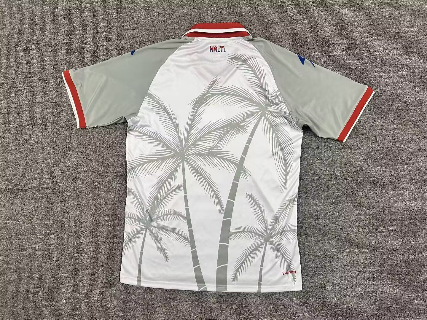 Haiti Visitante 2026