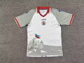 Haiti Visitante 2026