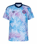 Costa Rica Visitante 2026