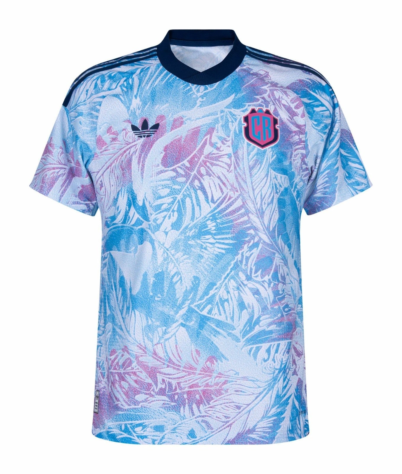 Costa Rica Visitante 2026
