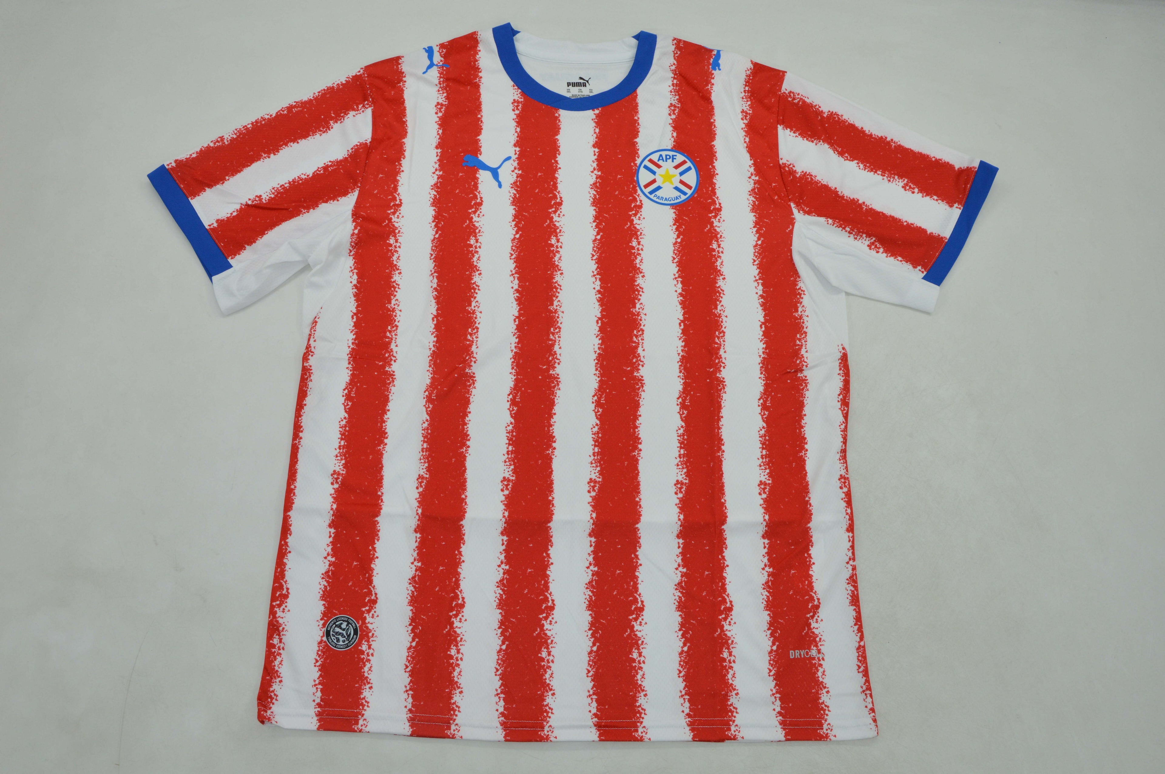 Paraguay Local 2026