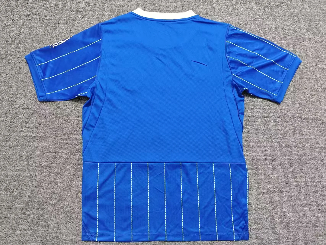 Brighton & Hove Albion Local 26/27