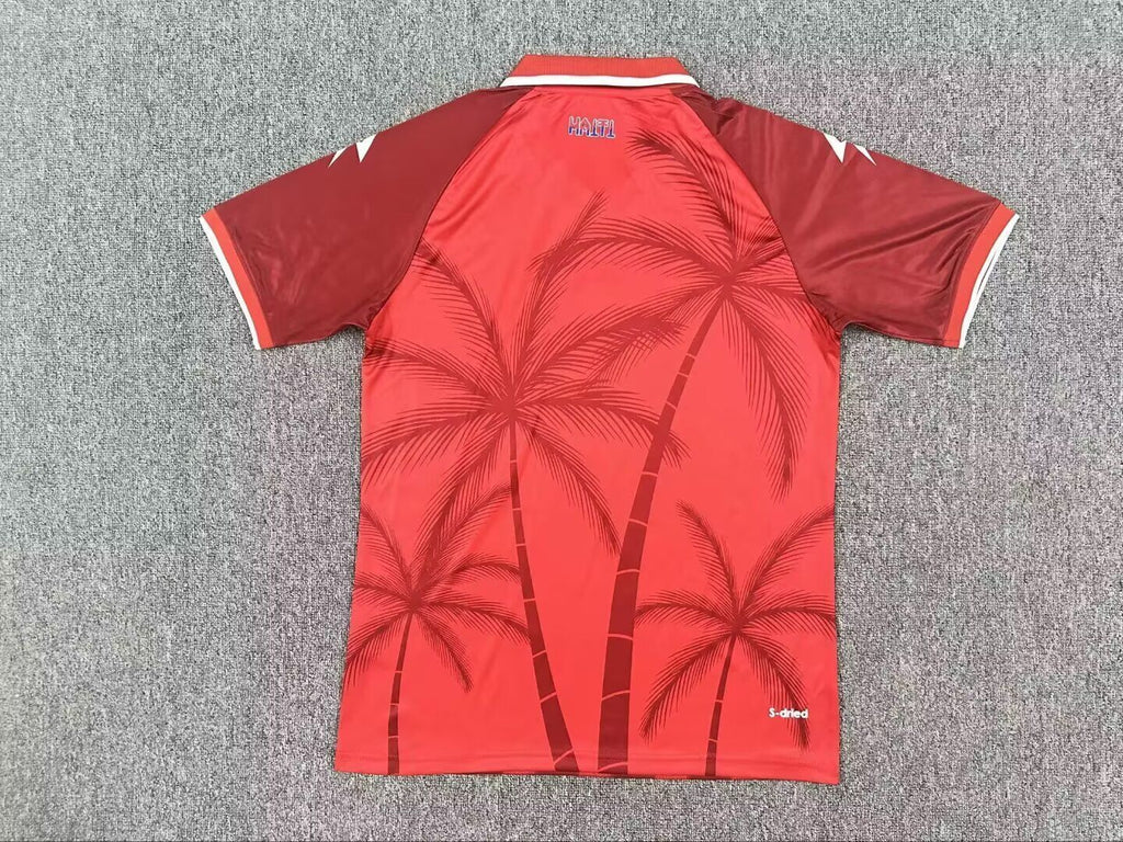 Haiti Visitante 2 2026