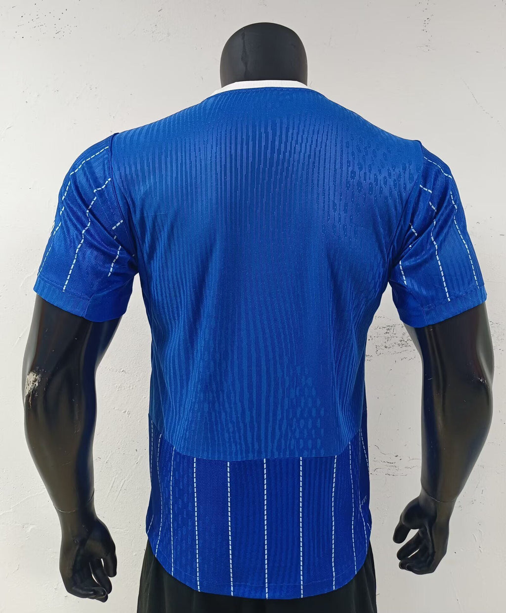 Brighton & Hove Albion Local 26/27 MATCH