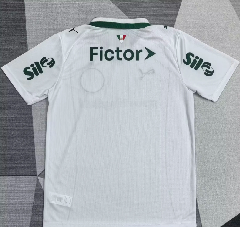 Palmeiras Visitante 2026