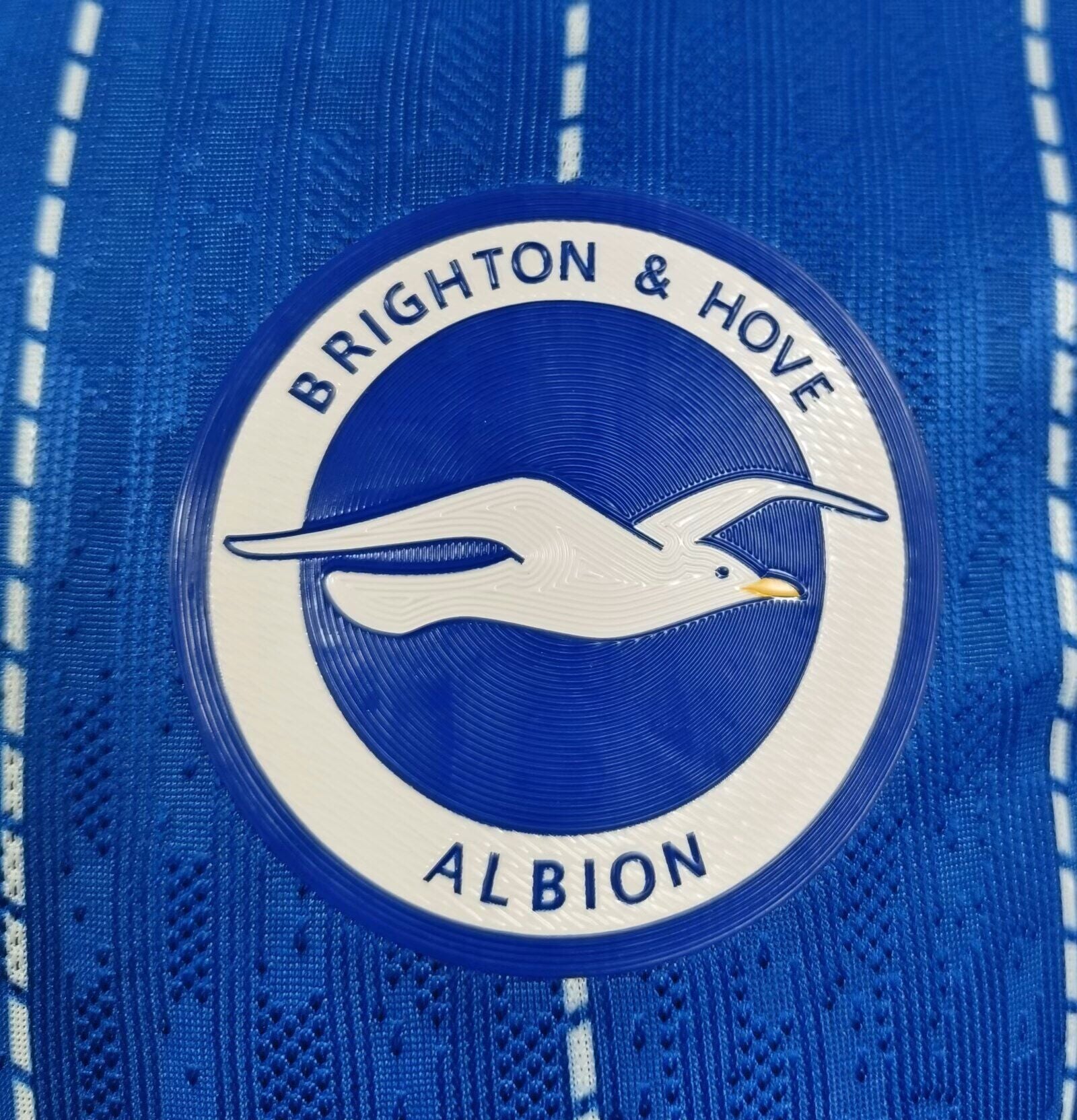 Brighton & Hove Albion Local 26/27 MATCH