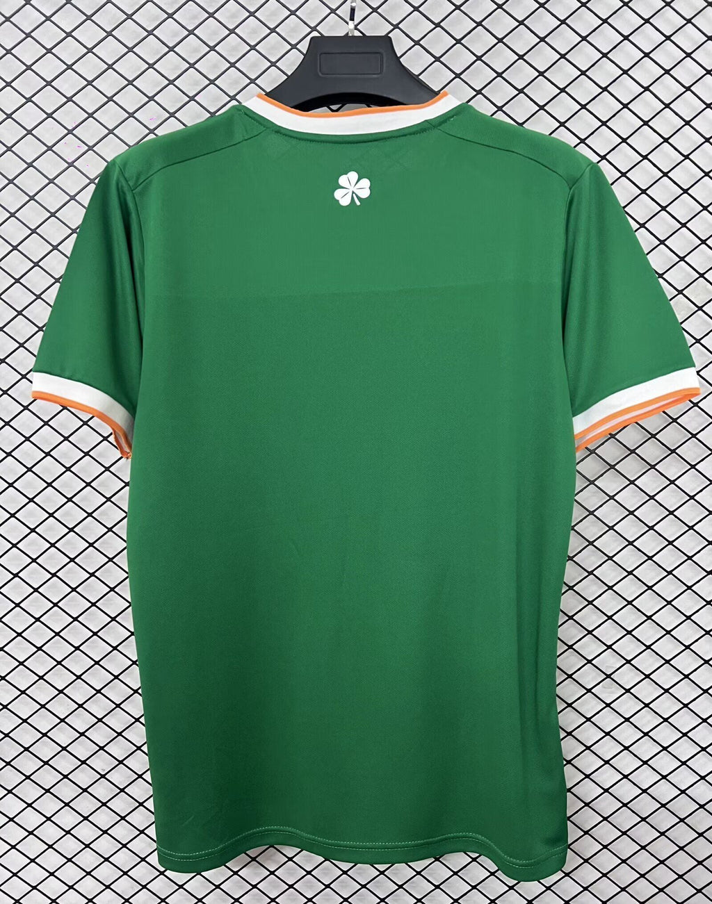 Irlanda Local 2026