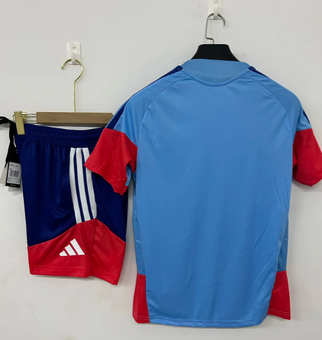 Japon Conjunto Entrenamiento 2026 Azul