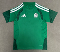 Mexico Entrenamiento 2026 Verde