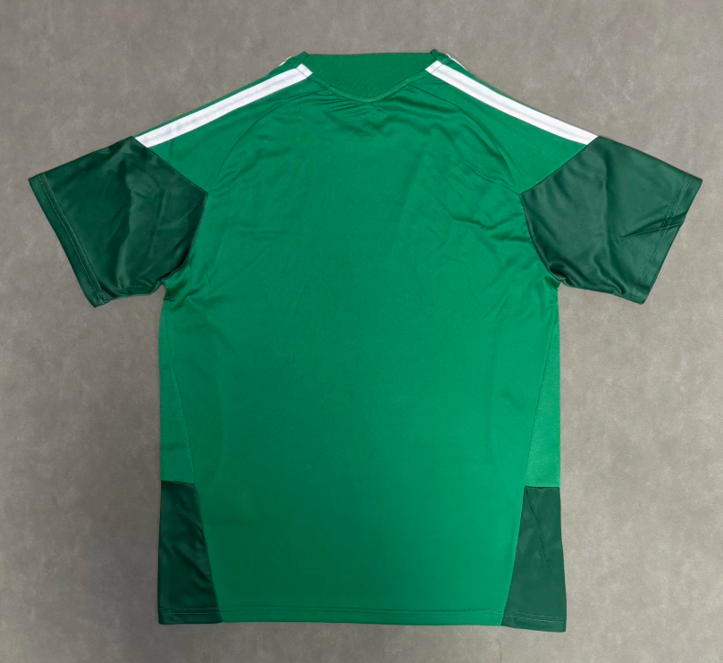 Mexico Entrenamiento 2026 Verde
