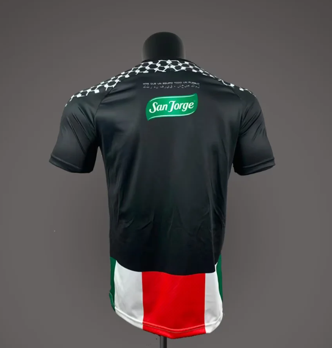 CD Palestino Local 2026