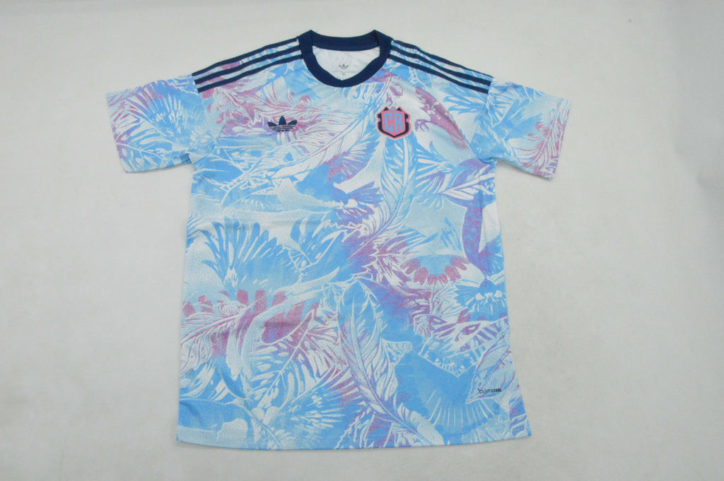 Costa Rica Visitante 2026