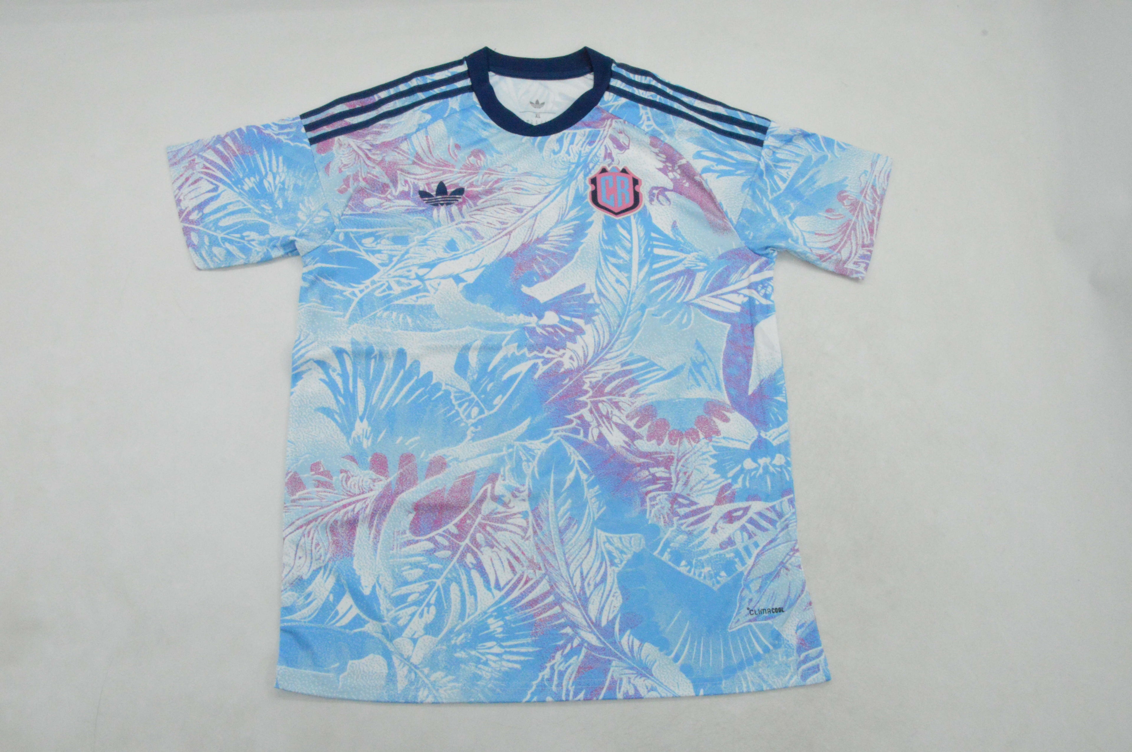Costa Rica Visitante 2026