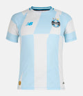 Gremio Visitante 2026